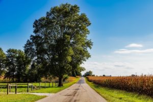 farmland