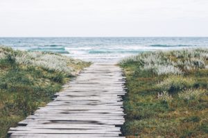 landing-stage-sea-nature-beach